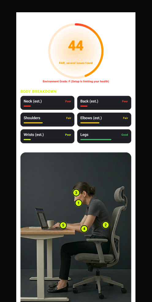 Posture score and body breakdown